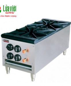 Bếp âu 4 họng gas WFR-2