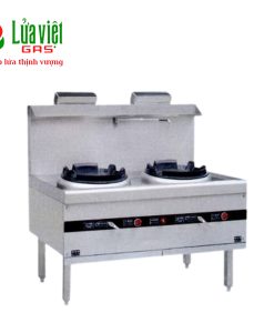 Bếp Á 2 họng đứng
