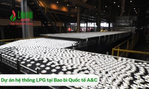 Lắp đặt hệ thống gas trung tâm tại Công ty AVC